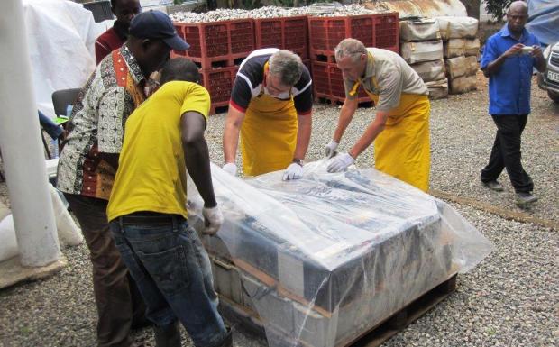 Ghana Bleibatterien Sammlung 620